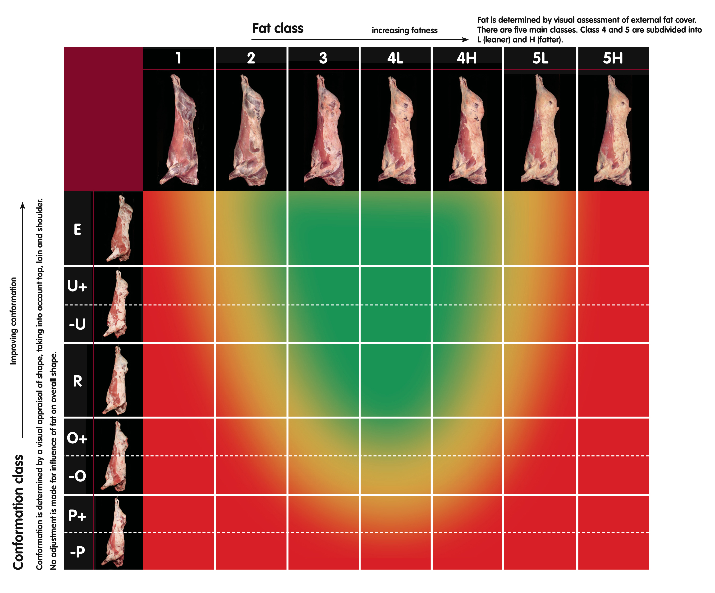 Beef carcase classification grid using EUROP for conformation and a numeric assessment for fatness (classes 1–5). 